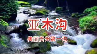 四川广元朝天公安不畏严寒 “浴雪”奋战保畅通